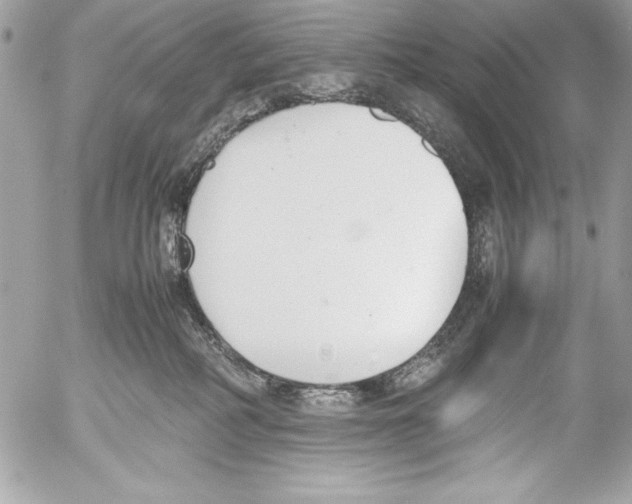 X0000052610234200507292157