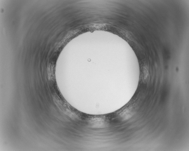 X0000052610236200507292156