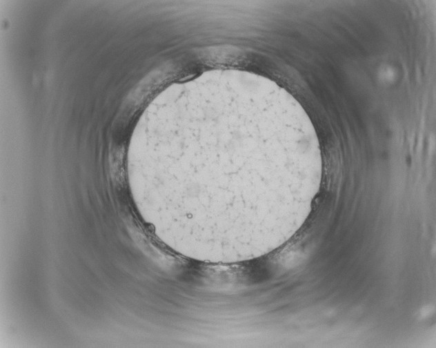 X0000052610239200507292156