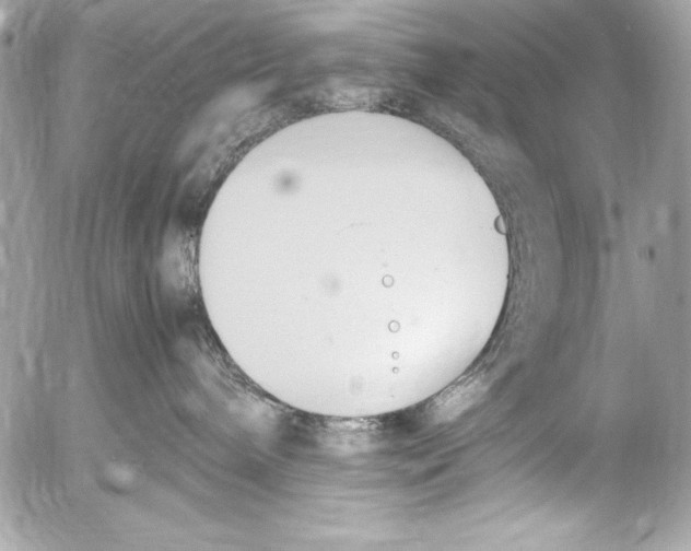 X0000052610240200507292156