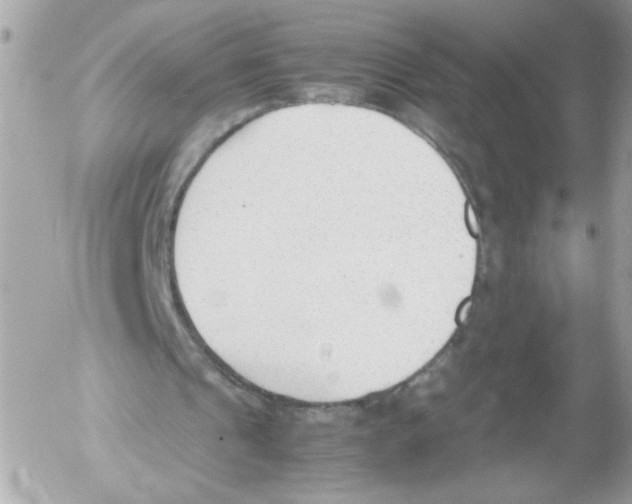 X0000052610241200507292156