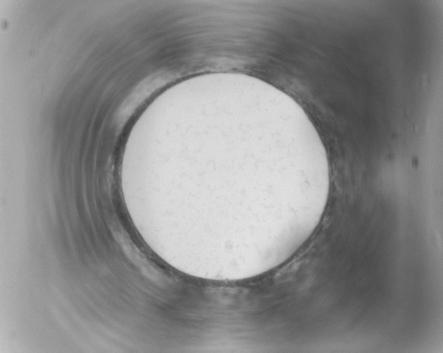 X0000052610242200507292156