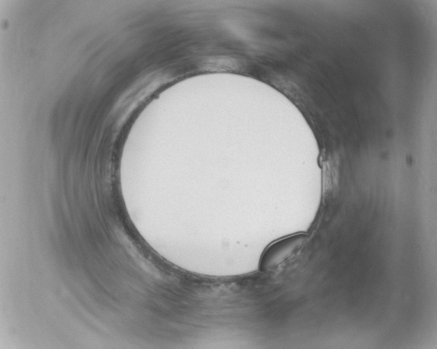 X0000052610243200507292156