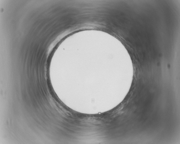 X0000052610244200507292156