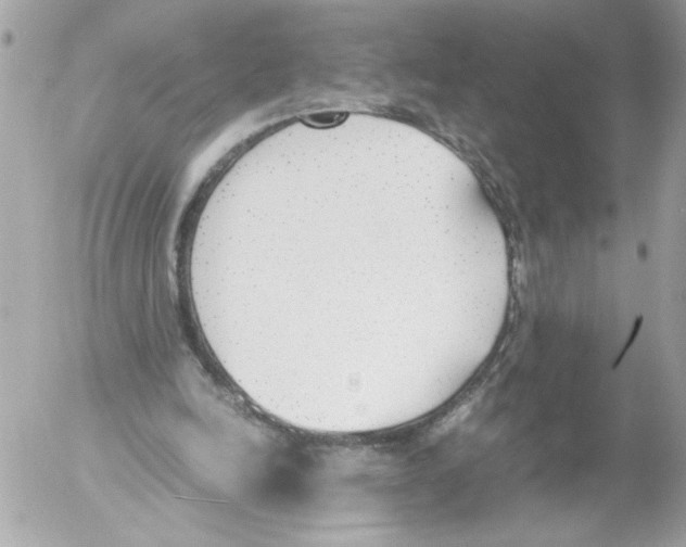 X0000052610246200507292156