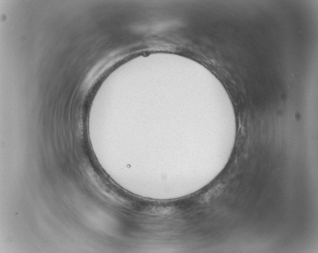 X0000052610247200507292156