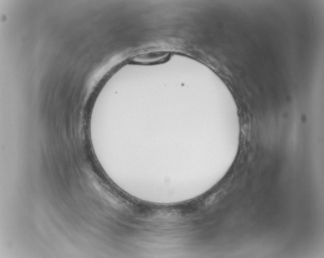 X0000052610248200507292156