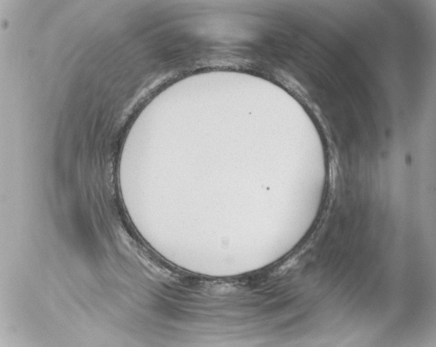 X0000052610249200507292156