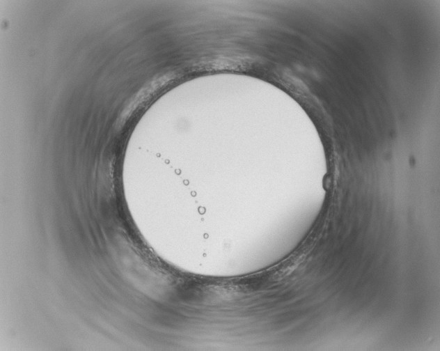 X0000052610250200507292156