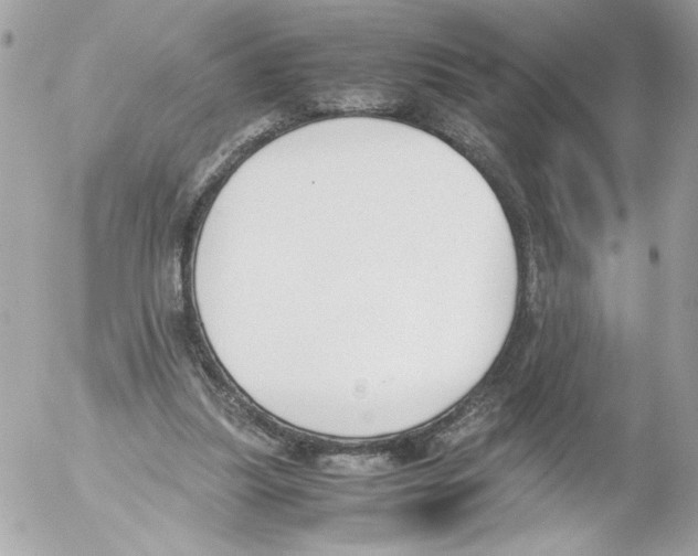 X0000052610251200507292156