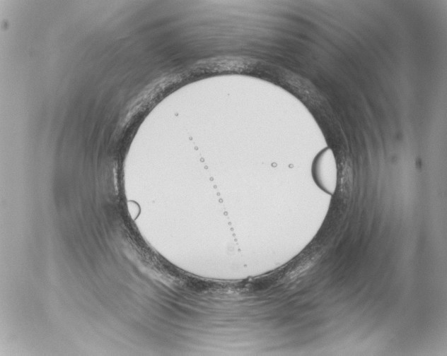 X0000052610254200507292156