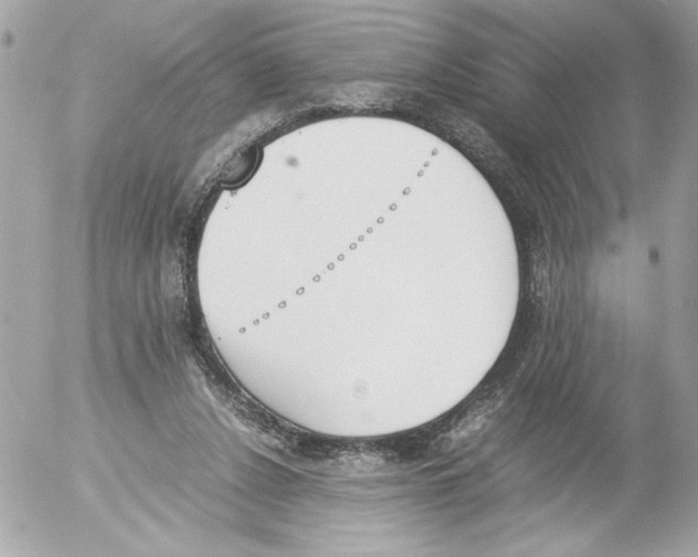 X0000052610256200507292156