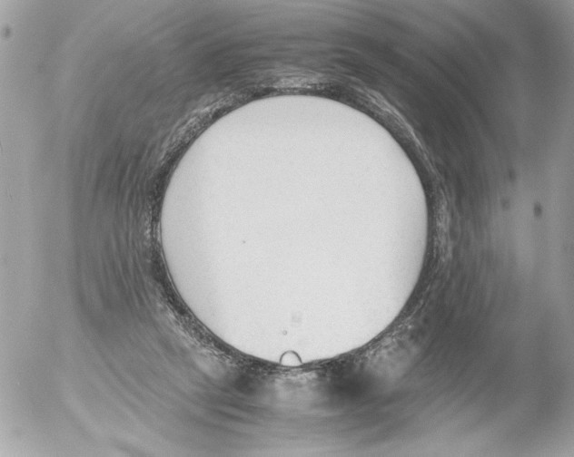 X0000052610257200507292156