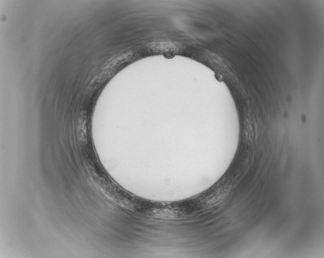 X0000052610259200507292156