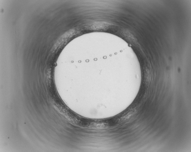 X0000052610260200507292156