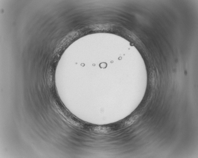 X0000052610261200507292156