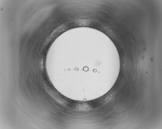 X0000052610262200507292156