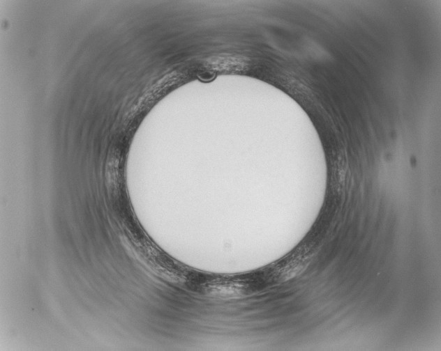 X0000052610263200507292156