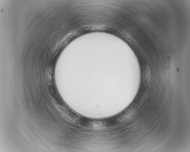 X0000052610264200507292156