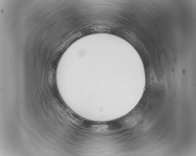 X0000052610266200507292156