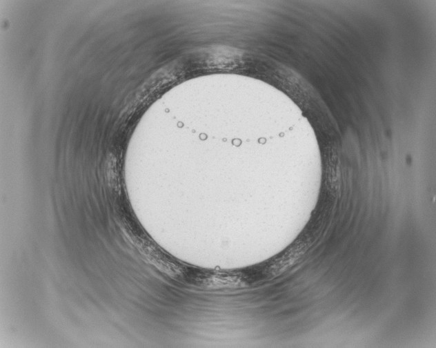 X0000052610270200507292156