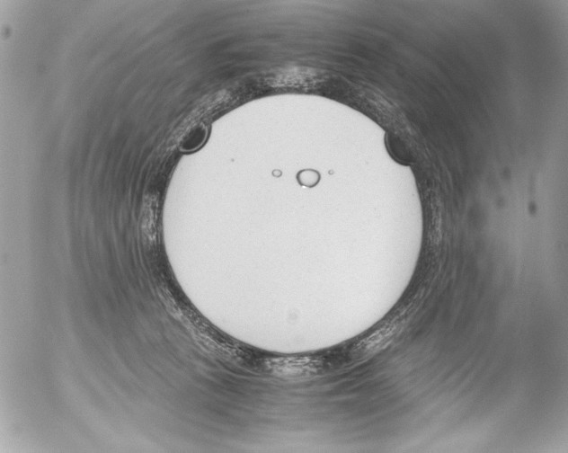 X0000052610273200507292156