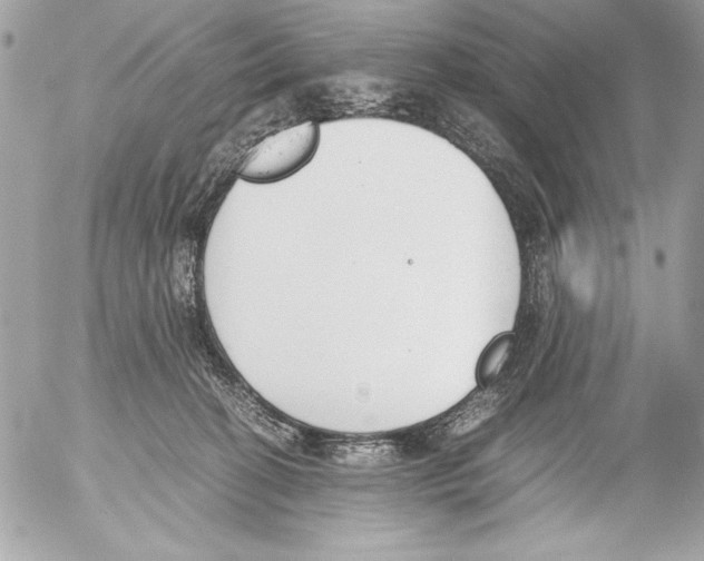 X0000052610274200507292156