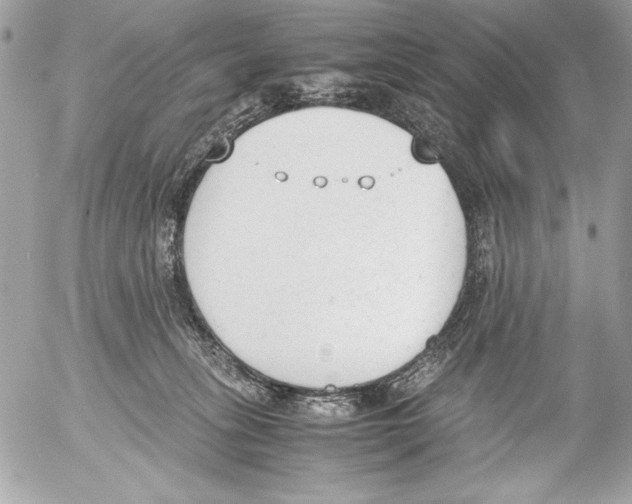 X0000052610275200507292156