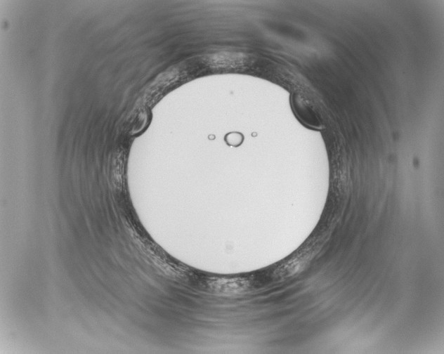 X0000052610277200507292156