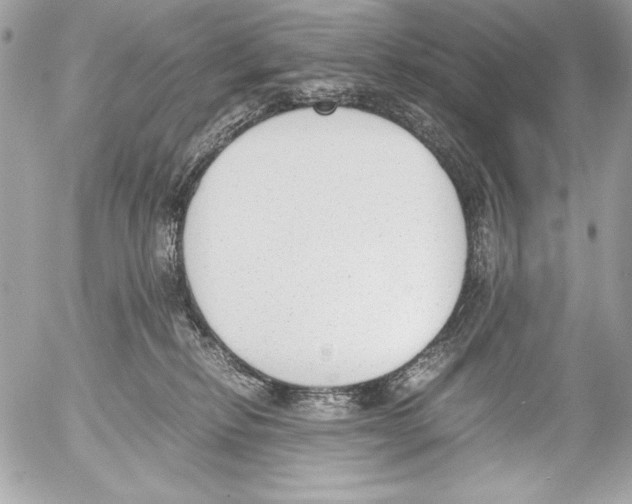 X0000052610278200507292156