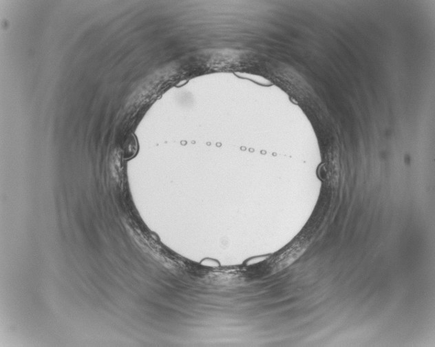 X0000052610280200507292156