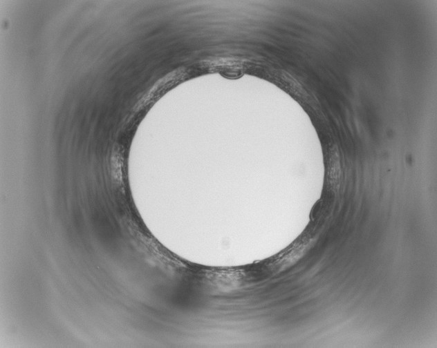 X0000052610282200507292156