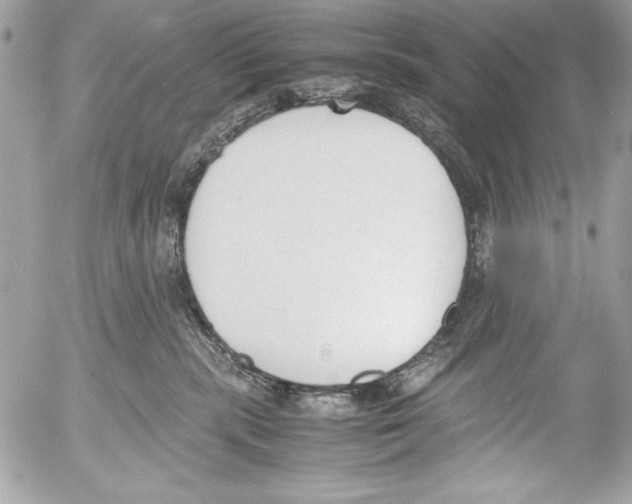 X0000052610283200507292156