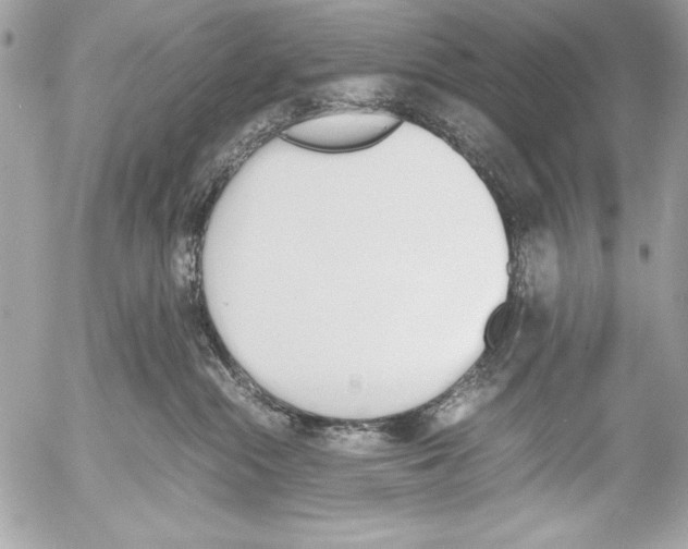 X0000052610284200507292156