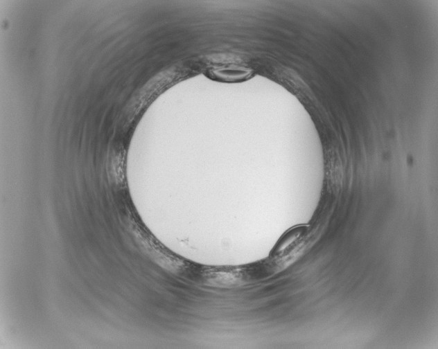 X0000052610285200507292156