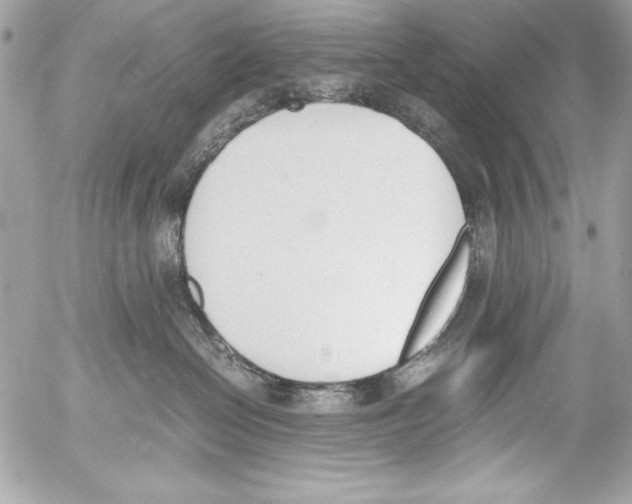 X0000052610286200507292156