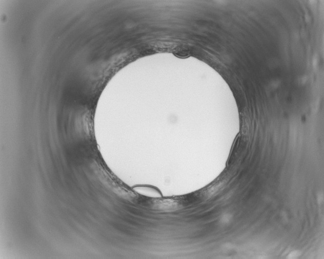 X0000052610287200507292156