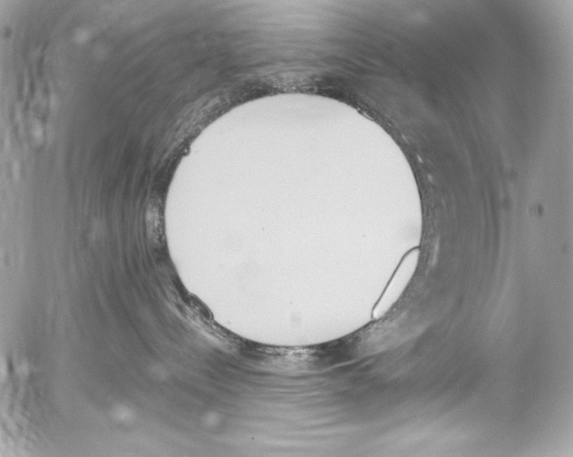 X0000052610288200507292156