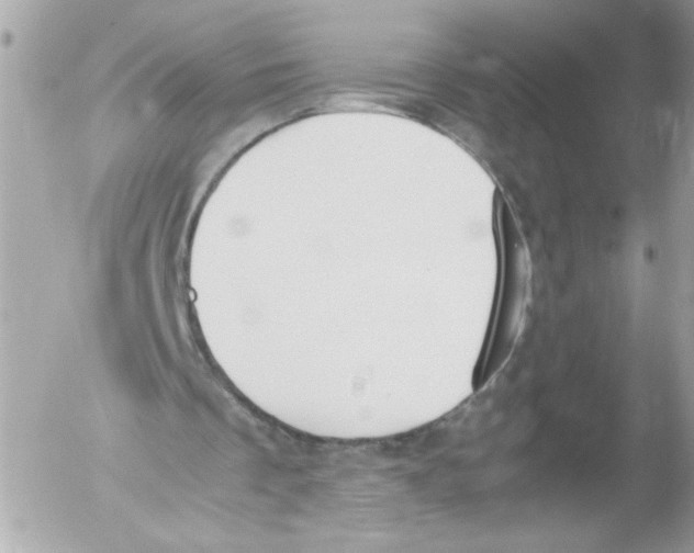 X0000052610289200507292156