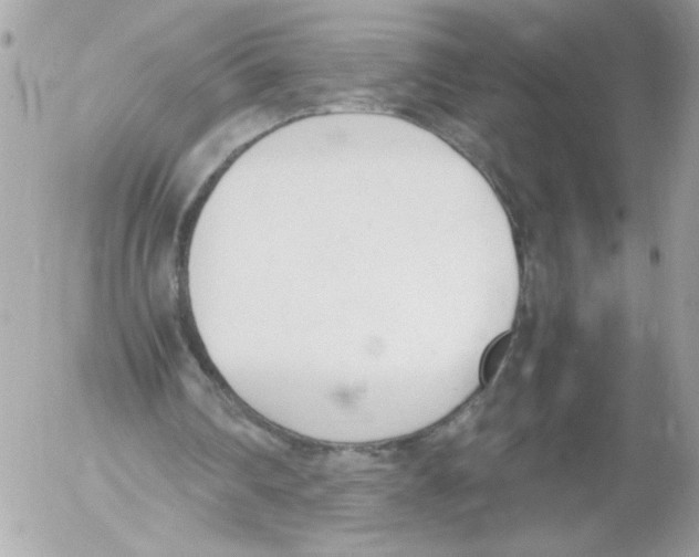 X0000052610290200507292156