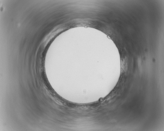 X0000052610291200507292156