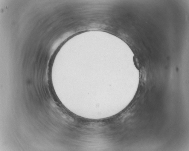 X0000052610292200507292156