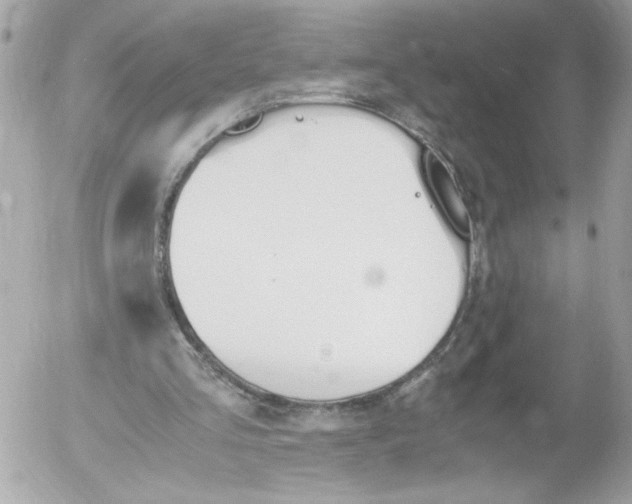 X0000052610293200507292156