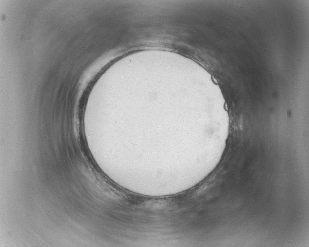 X0000052610294200507292156