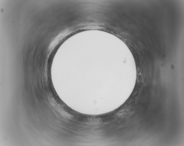 X0000052610296200507292155