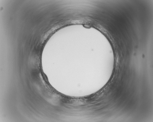 X0000052610297200507292155