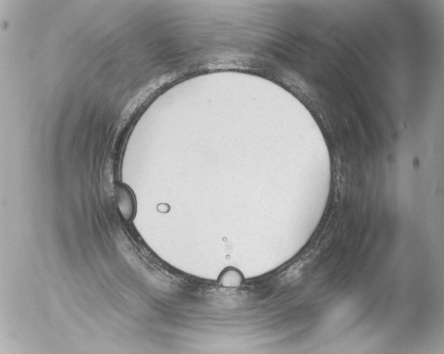 X0000052610298200507292155