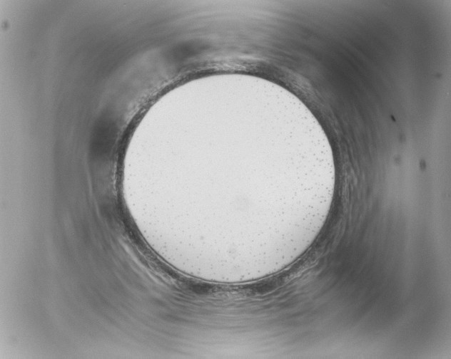 X0000052610299200507292155