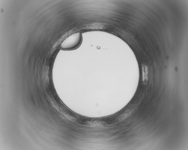 X0000052610300200507292155