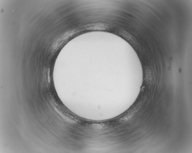 X0000052610302200507292155